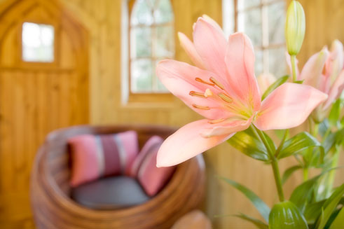 A romantic image of the interior of a luxury treehouse, commissioned by the Treehouse Company.