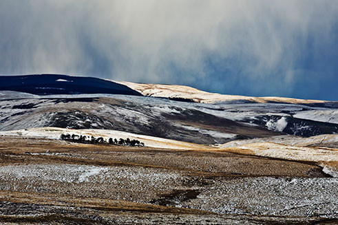 An atmospheric image of the Cheviot Hills in Northumberland, with snow falling. 