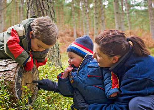 Fetching image of two young children and their mother exploring woodland in Northumberland National Park.
