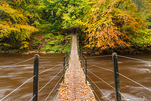 An autumnal image of the River Allen in Northumberland, a slow exposure blurring the water. 