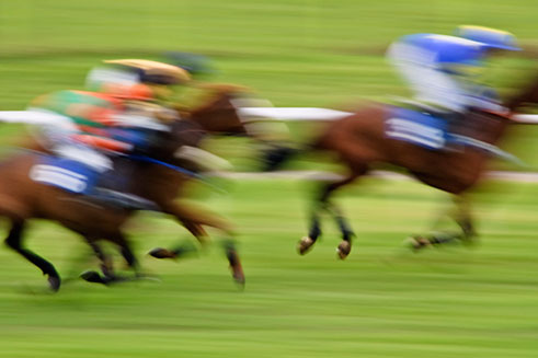 Horses at Hexham Racecourse, Northumberland. This photograph is blurred to emphasis motion.
